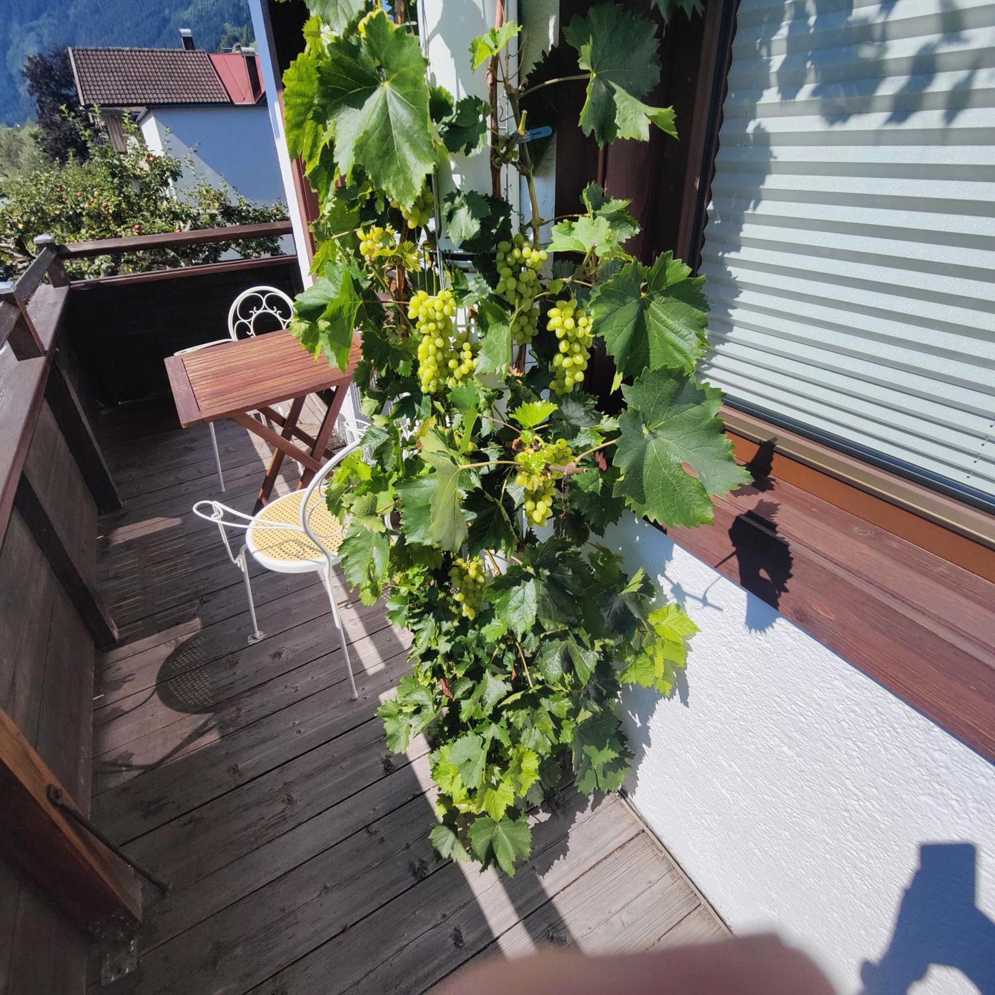 Apartment Reiter Zellbergeben Екстериор снимка